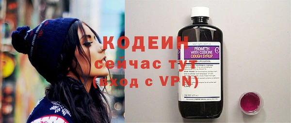 дживик Гатчина