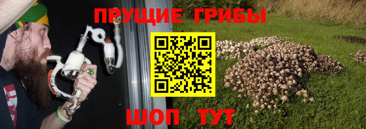 Галлюциногенные грибы MAGIC MUSHROOMS  купить наркоту  Вход с VPN  Химки  Галлюциногенные грибы мицелий 