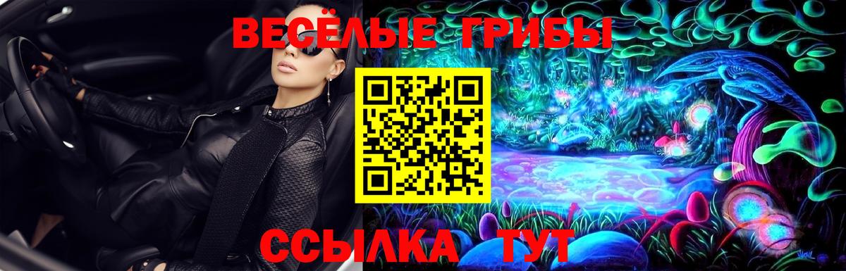 Галлюциногенные грибы Magic Shrooms Химки